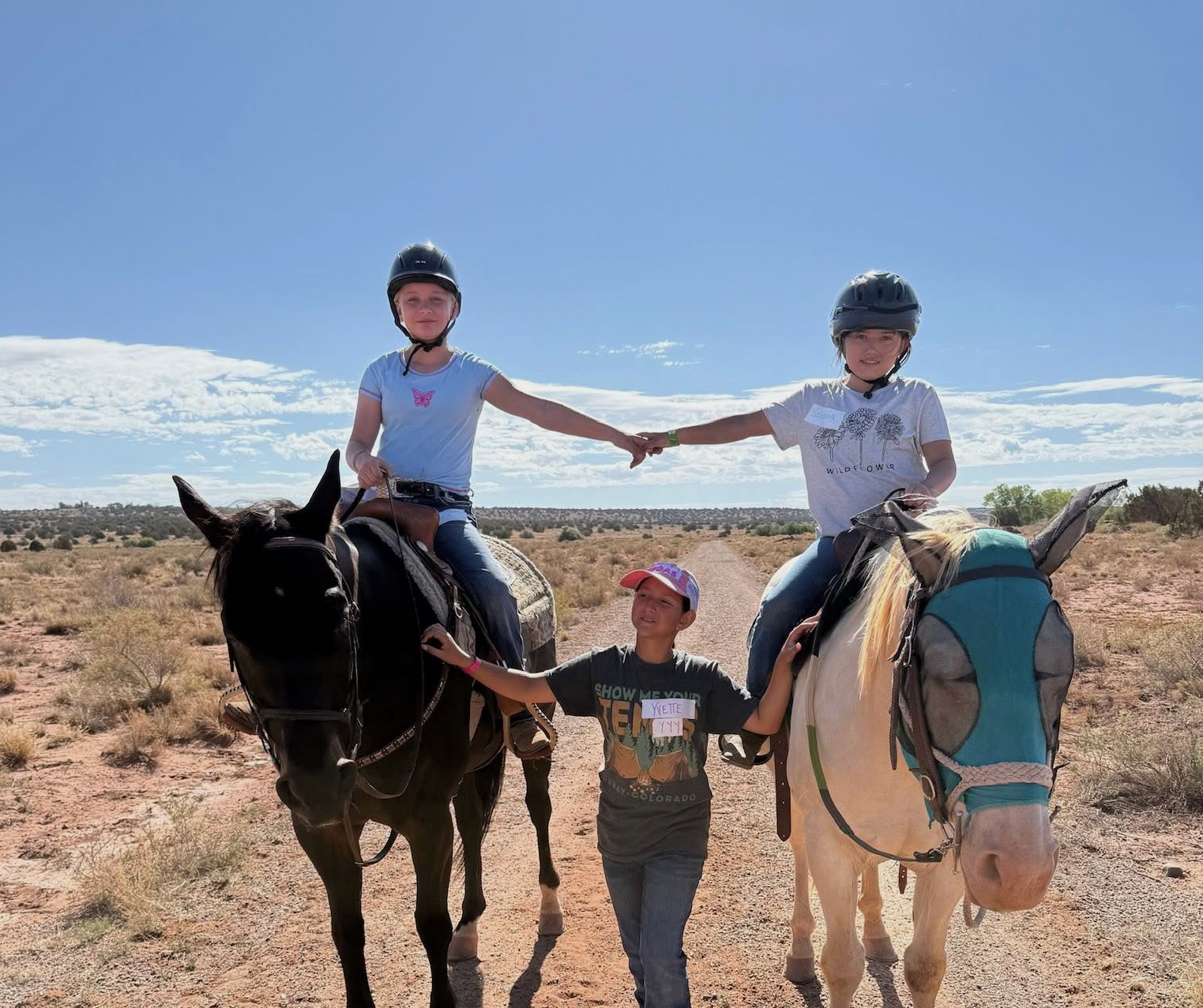 Silver Creek Equestrian Education Program